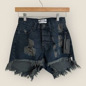One X One Teaspoon Fox Black High Waist Bonita Distressed Denim Shorts (…